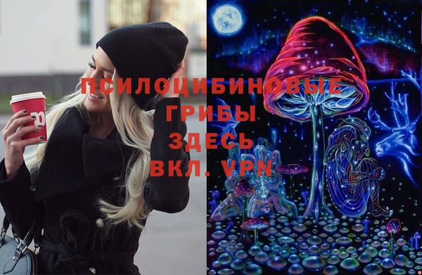 прущая мука Елабуга