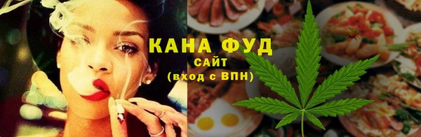 стафф Ельня