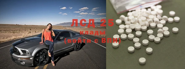 стафф Ельня