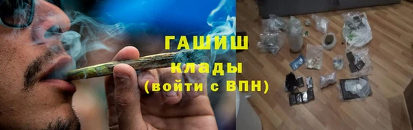 стафф Ельня