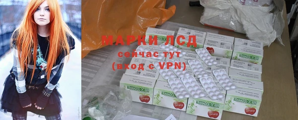 стафф Ельня