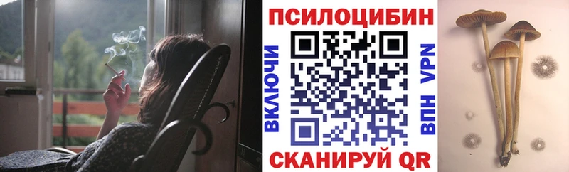 Галлюциногенные грибы Cubensis  Купить закладки  Дмитров 